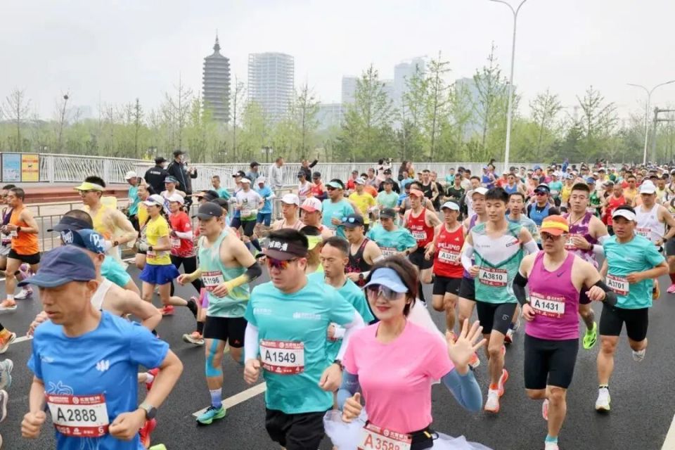 自愿报名 自愿报名